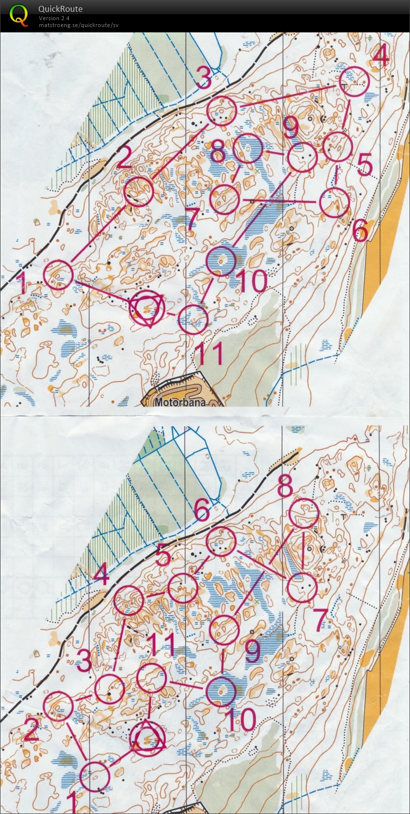 Stafettslingor (03.09.2024)